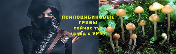 бутират Елабуга