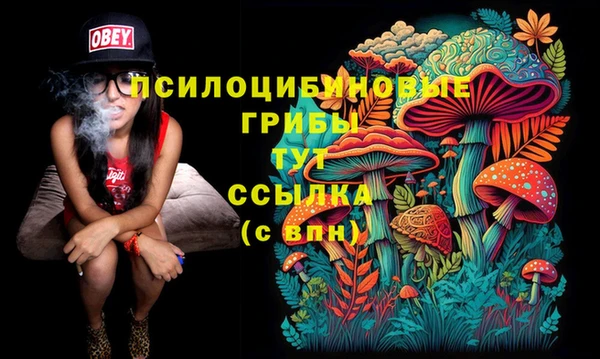 бутират Елабуга