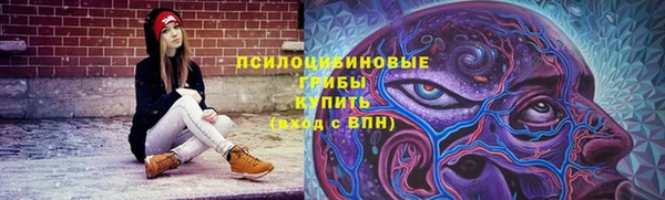 бутират Елабуга