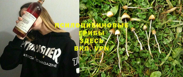 каннабис Ельня