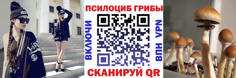 Галлюциногенные грибы Cubensis Таруса