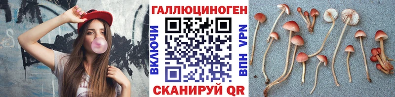 Купить где  Таруса  Галлюциногенные грибы Magic Shrooms 
